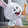 Jennica