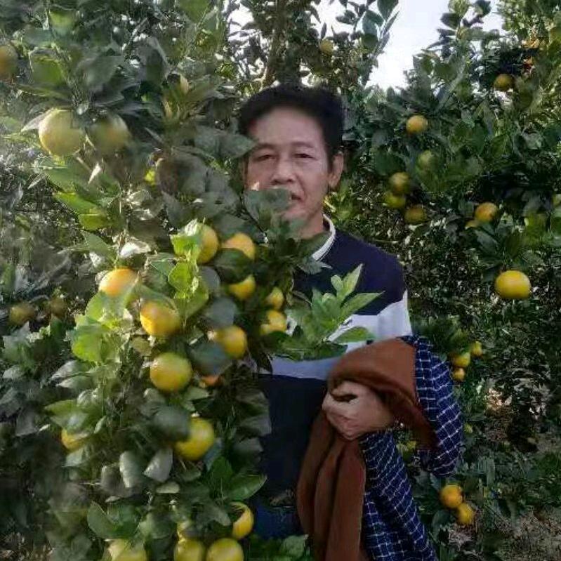 珍惜
