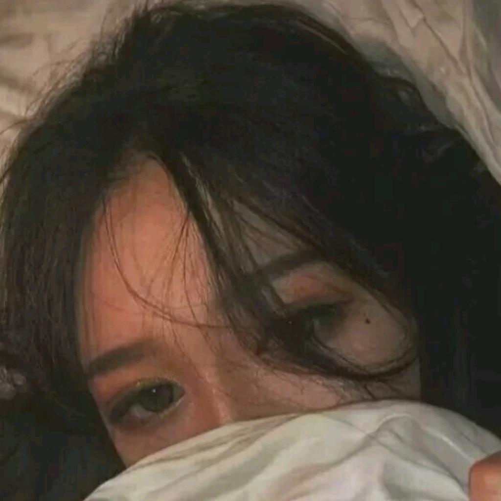 🍀 李小木子