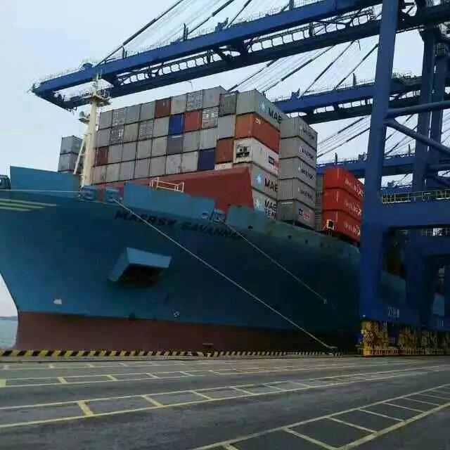 广州南沙港集装箱物流——赵同学