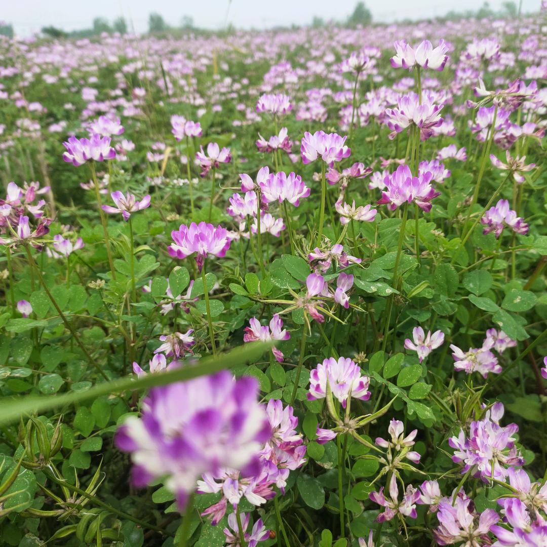এৣꦼ᜴ꪰᮨ໌້归⃝💮⃝零ꦨ꦳