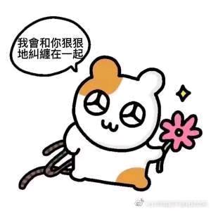 失 聯 電 報
