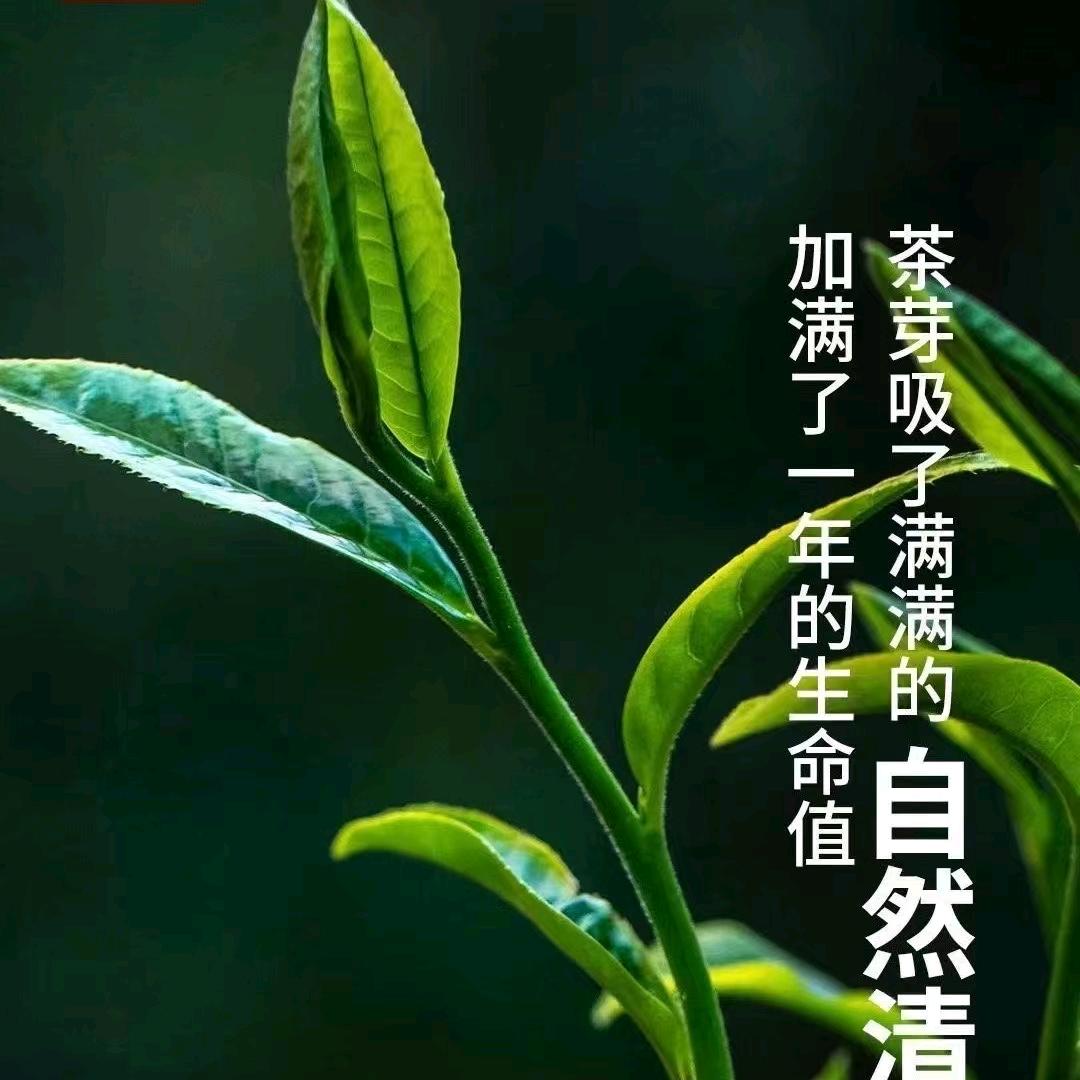 辛集市众提茶院茶叶店