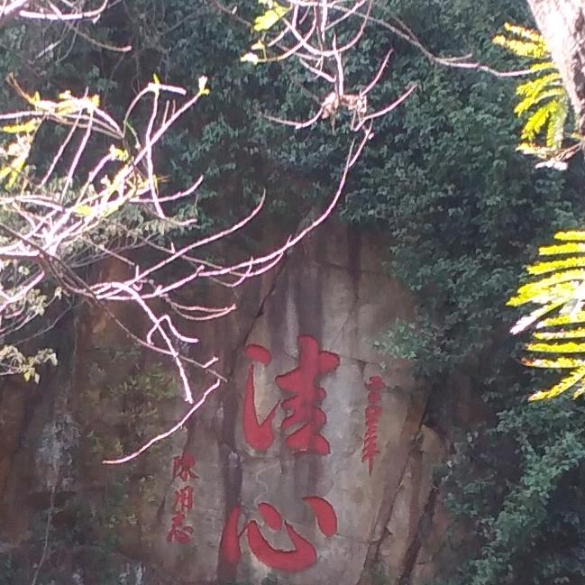 笑笶