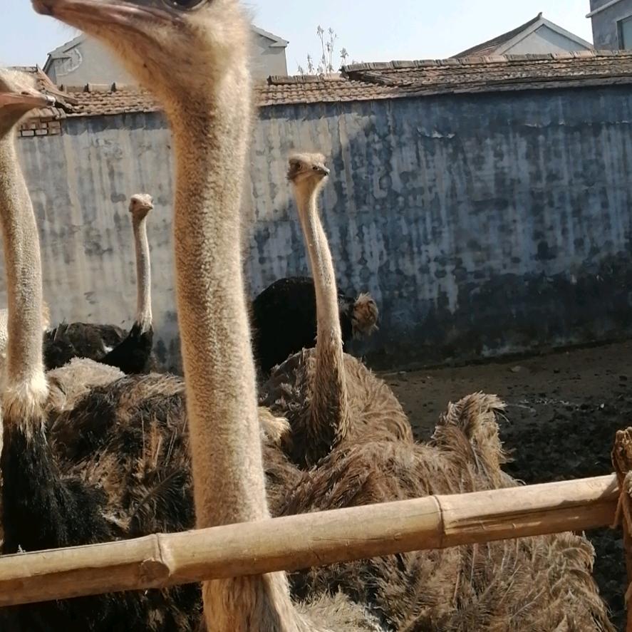 小郭在创业的路上