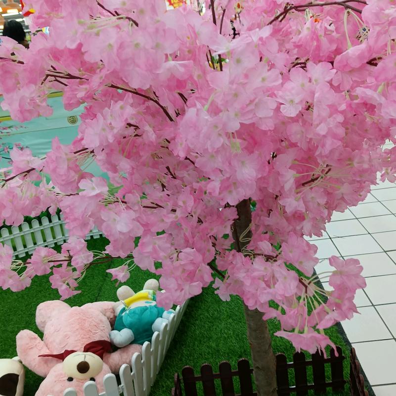 🌸小花花