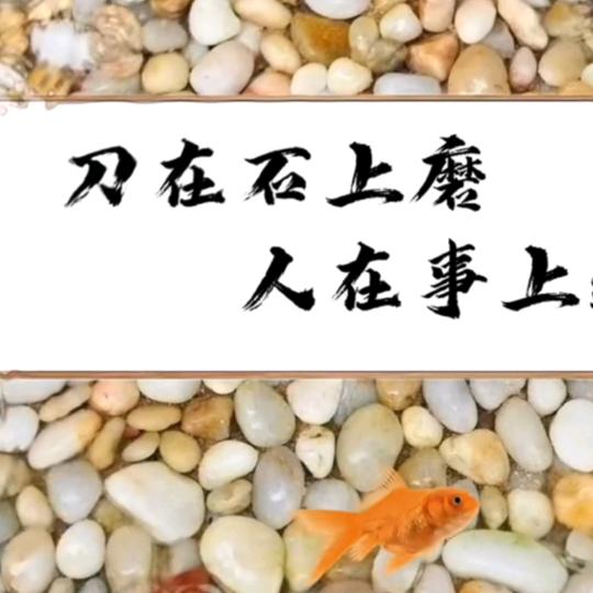 德州市交通标线