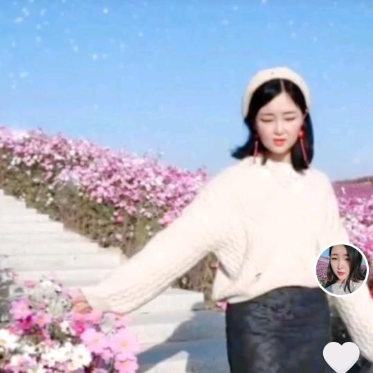 叶子。。