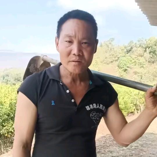 娃哥