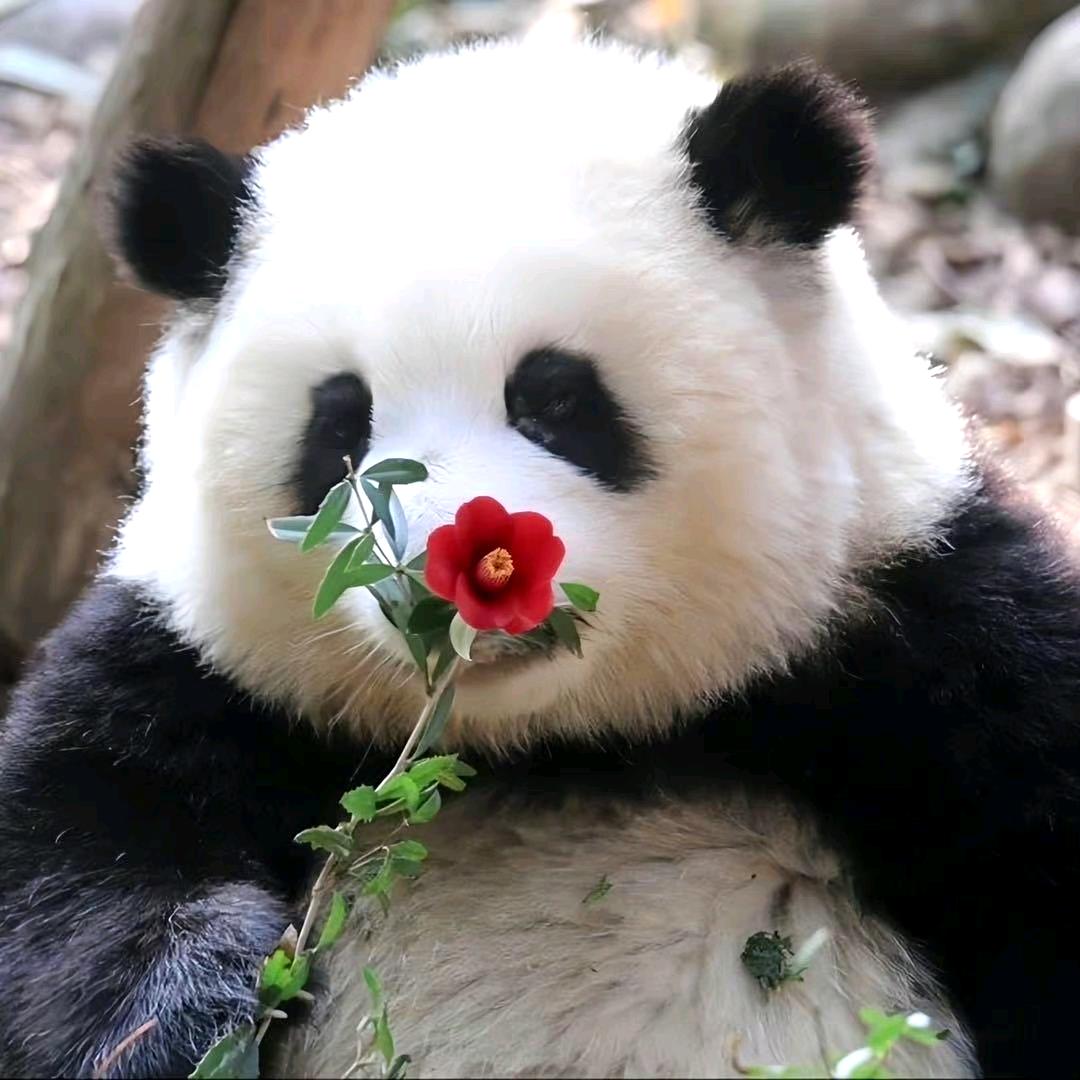 阳光