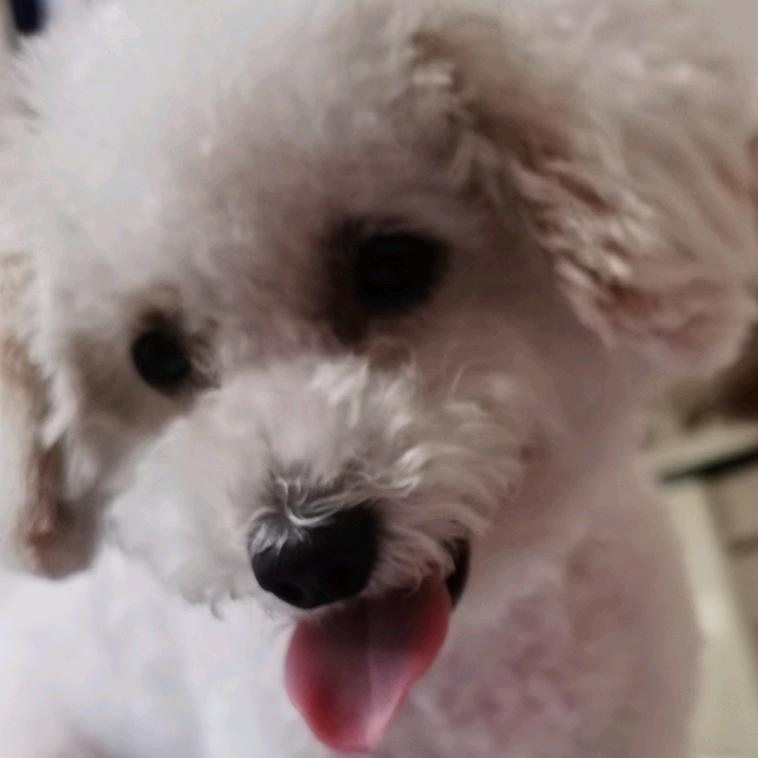 😘 _Emotiona°💕