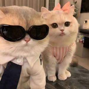 老婆变女同不要我了