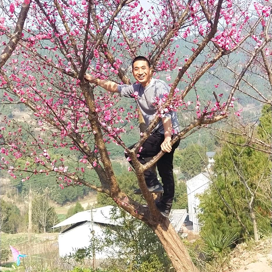 平安是福
