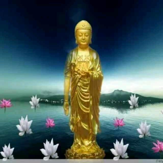 柱哥哥