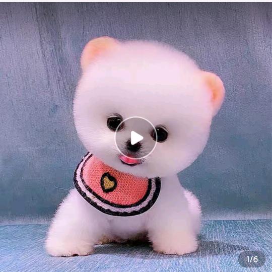 DY-