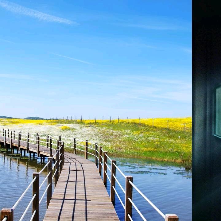 生活的遐想（瞎想）