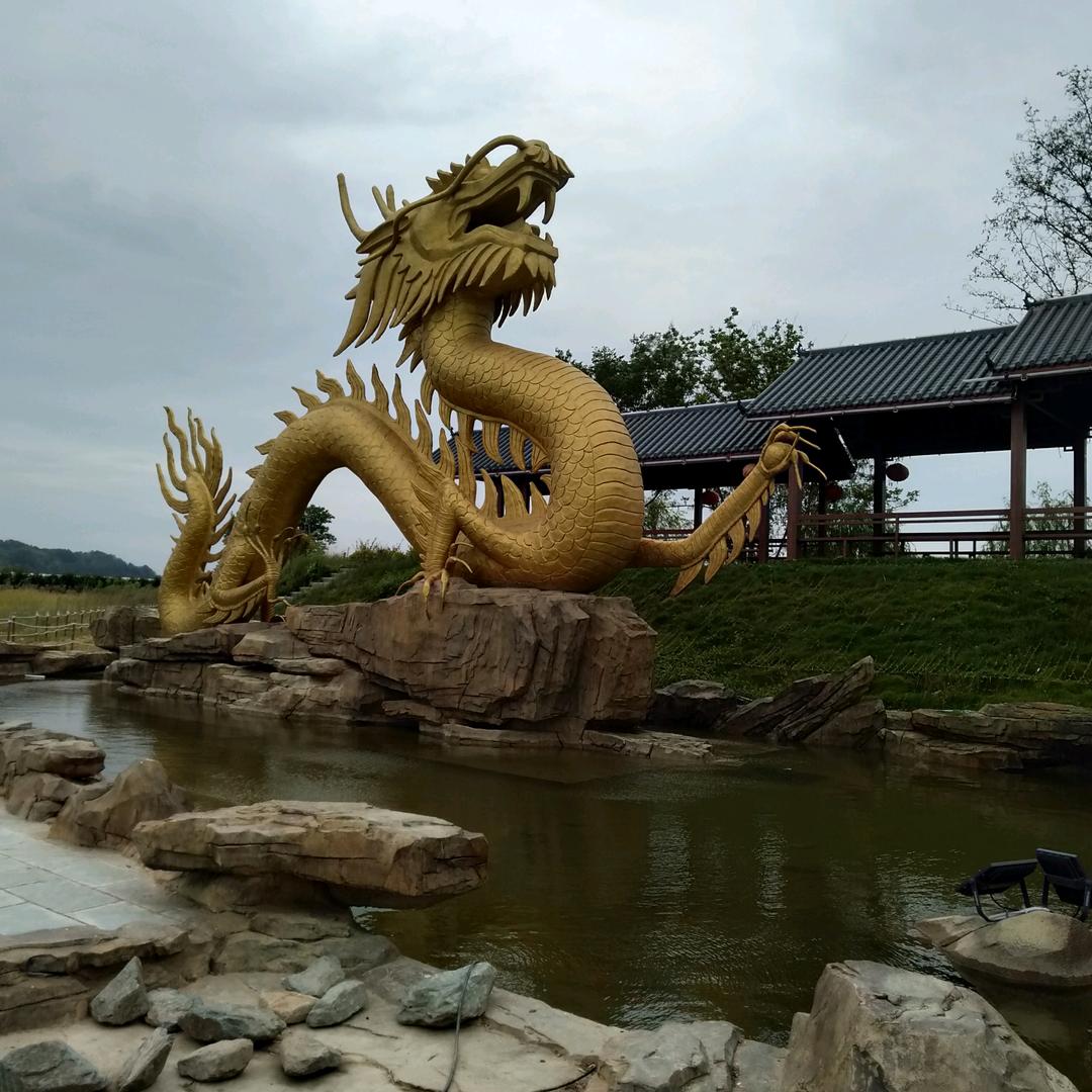 云淡风轻（王）