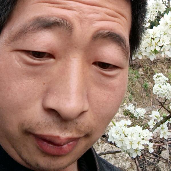 张府少爷，《单身》7：10点开插