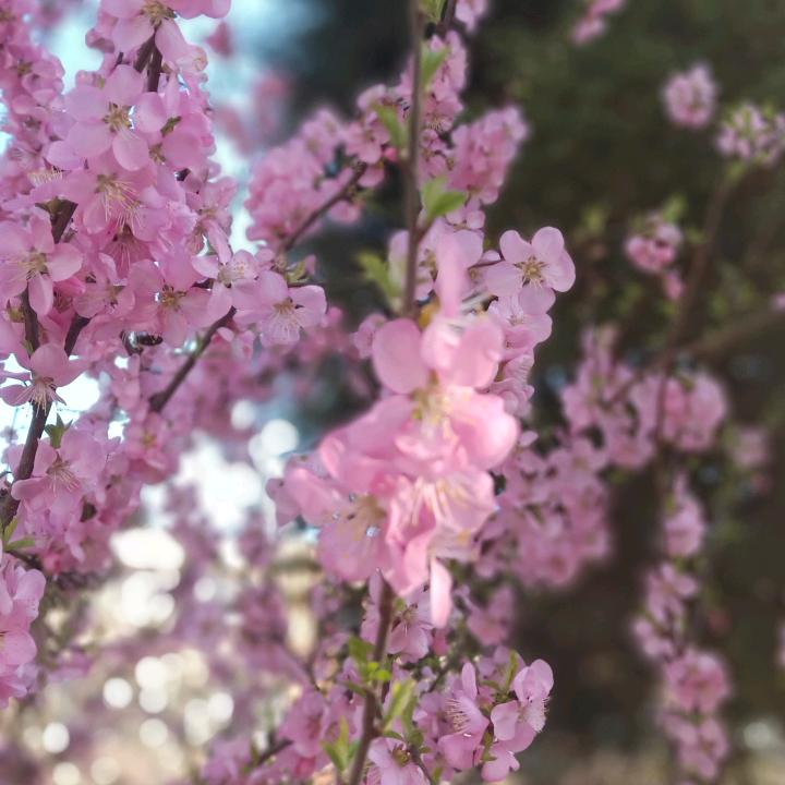 伊宁市云凡保健养生馆