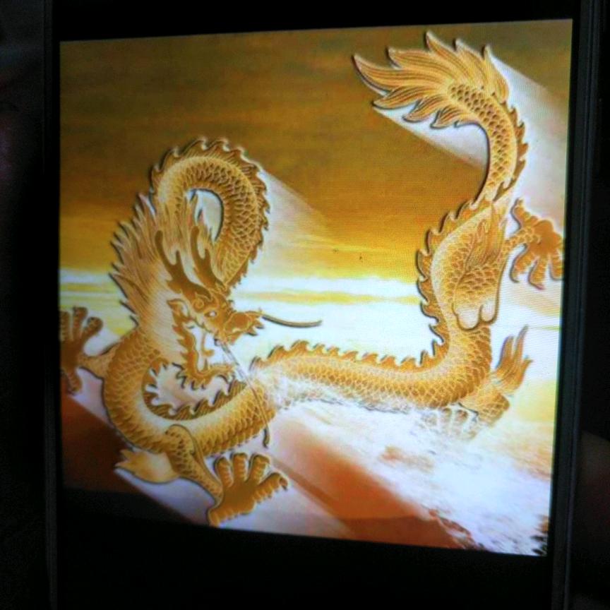 找乐趣的人:
