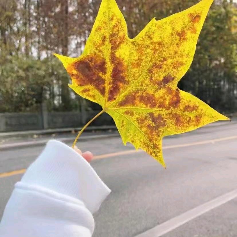 别让等待成遗憾