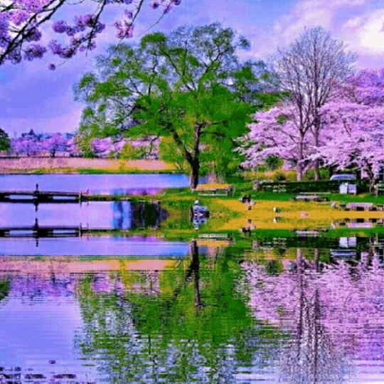 纤陌阳光