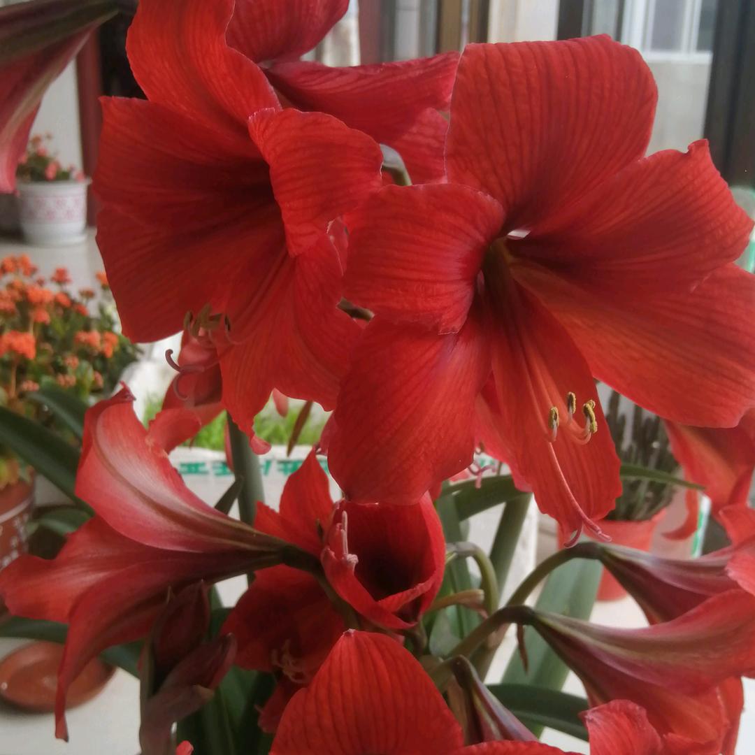 颗颗粒粒打工人