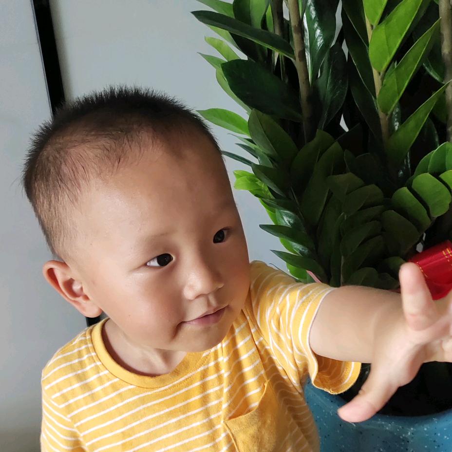 刘金菊