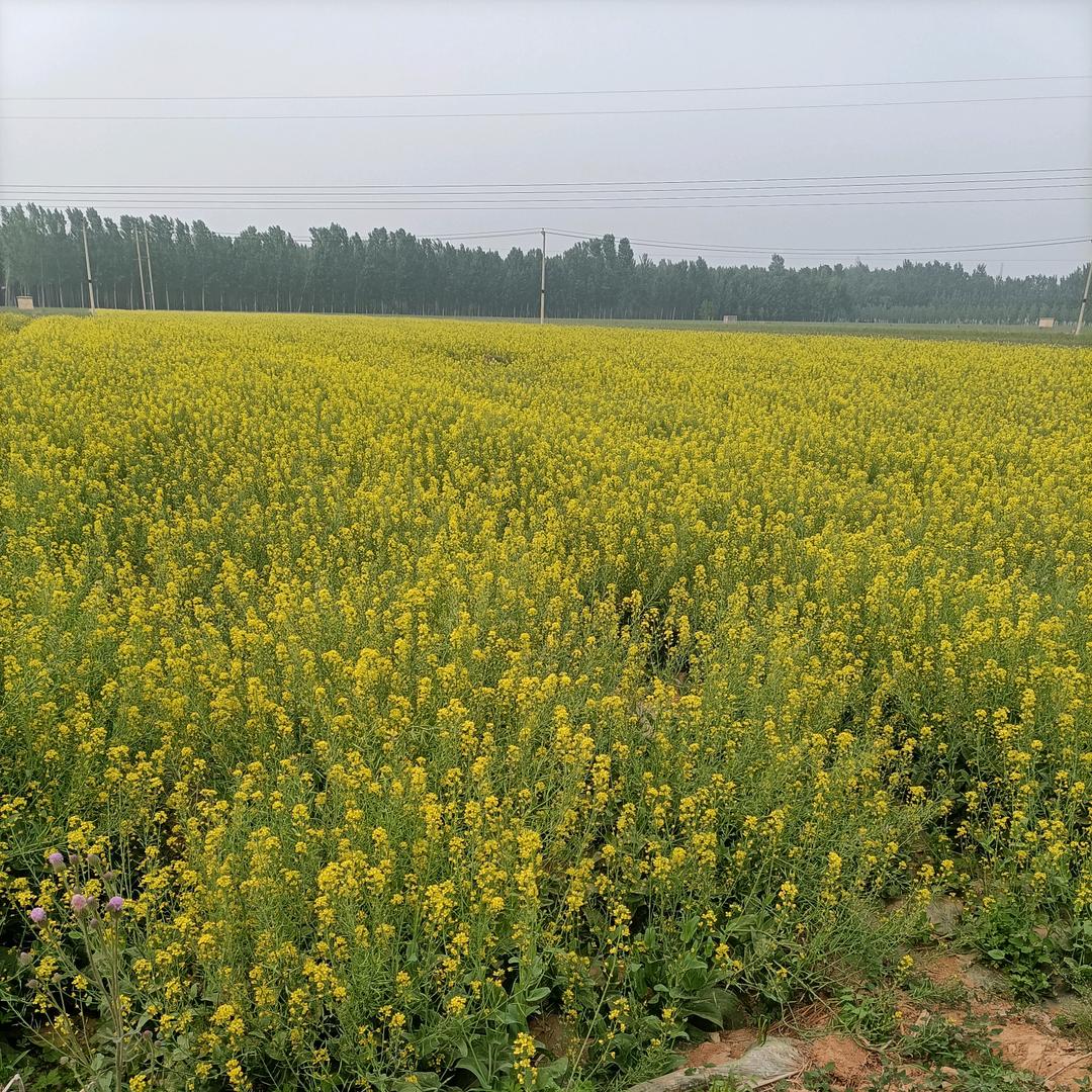 塑美俏身材管理