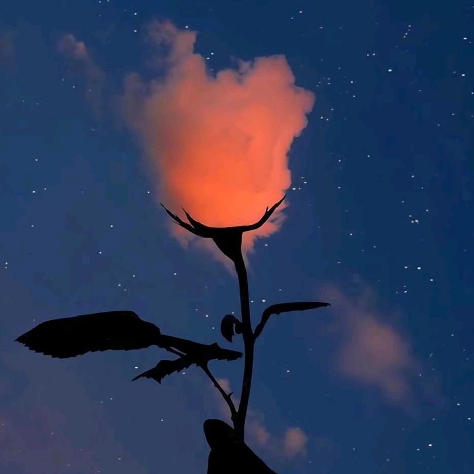 /　⃢👁━👁⃢　\