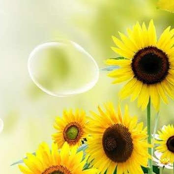 悠然(世纪东方三岔店)