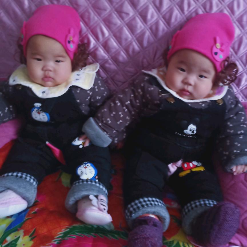 大宝小宝的快乐生活