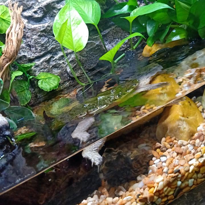前程似锦