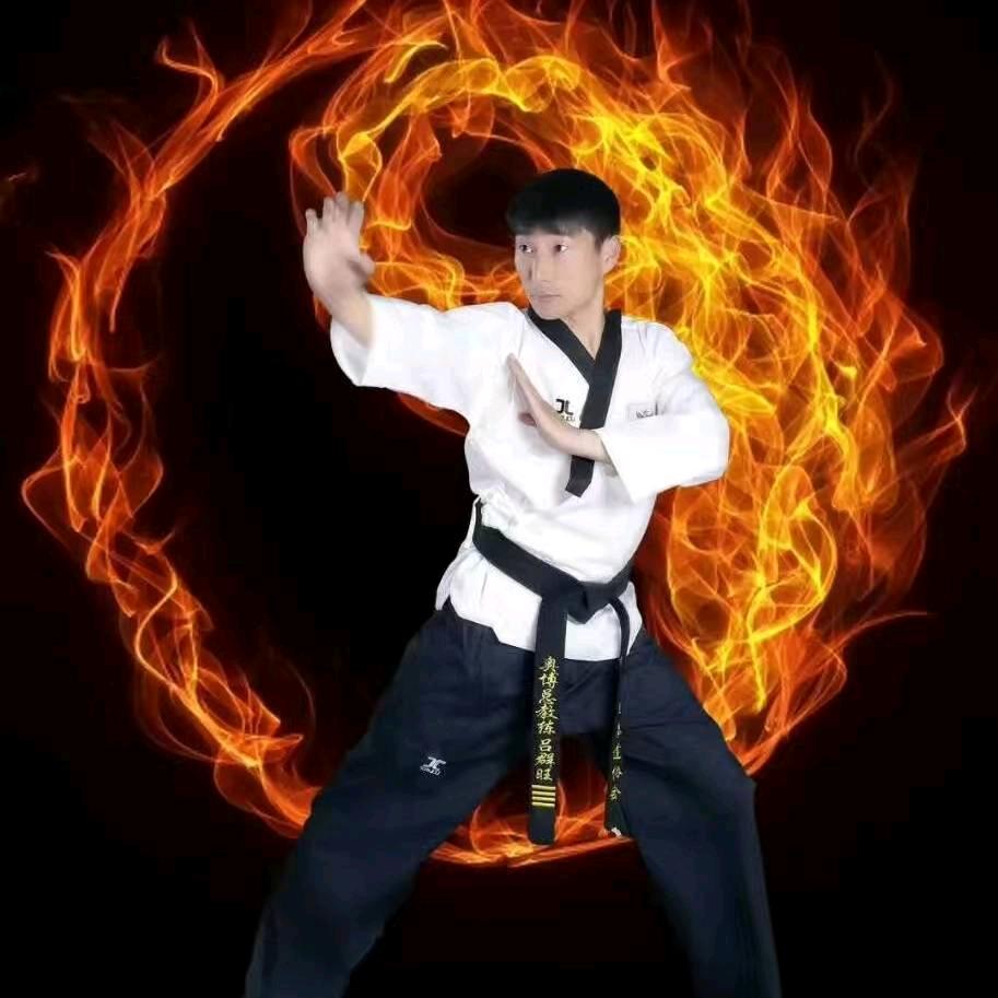 方城奥博跆拳道武术散打搏击馆