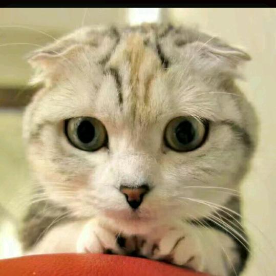 个人喜好，所爱