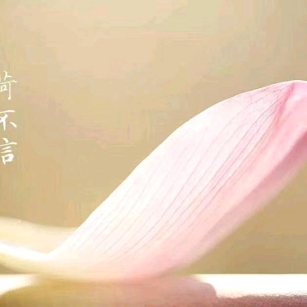 赵公子~👑