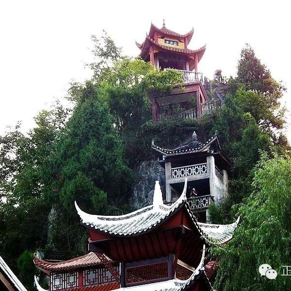 情一动心就痛