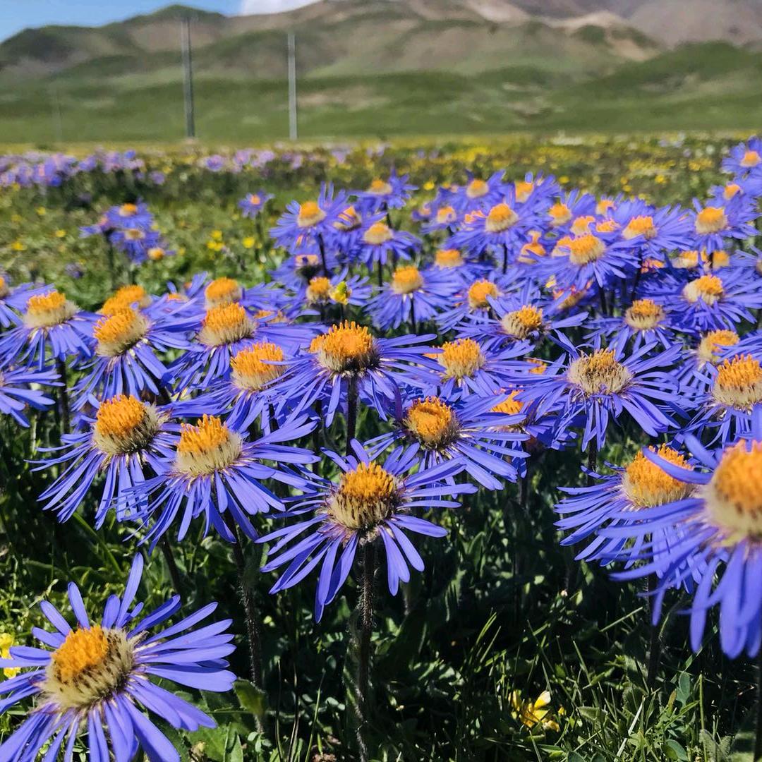 秀姐的日常生活☘