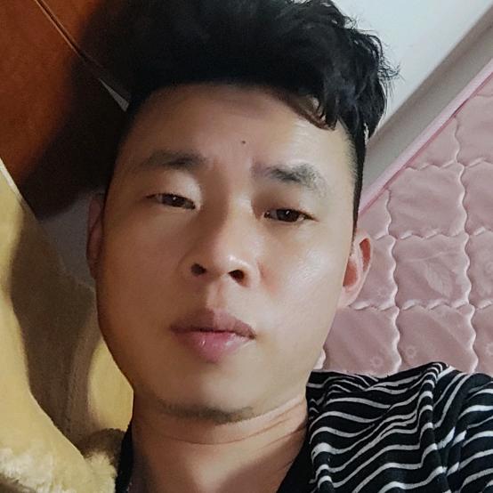 长寿黄弟