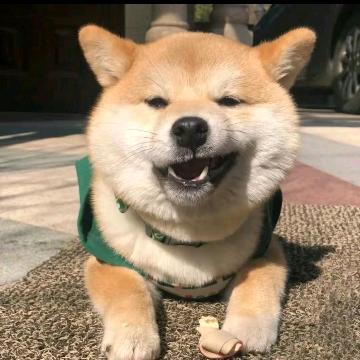 绍兴小贵宁