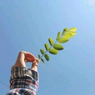 晴天