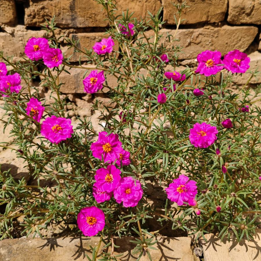 无所畏⊙∀⊙！