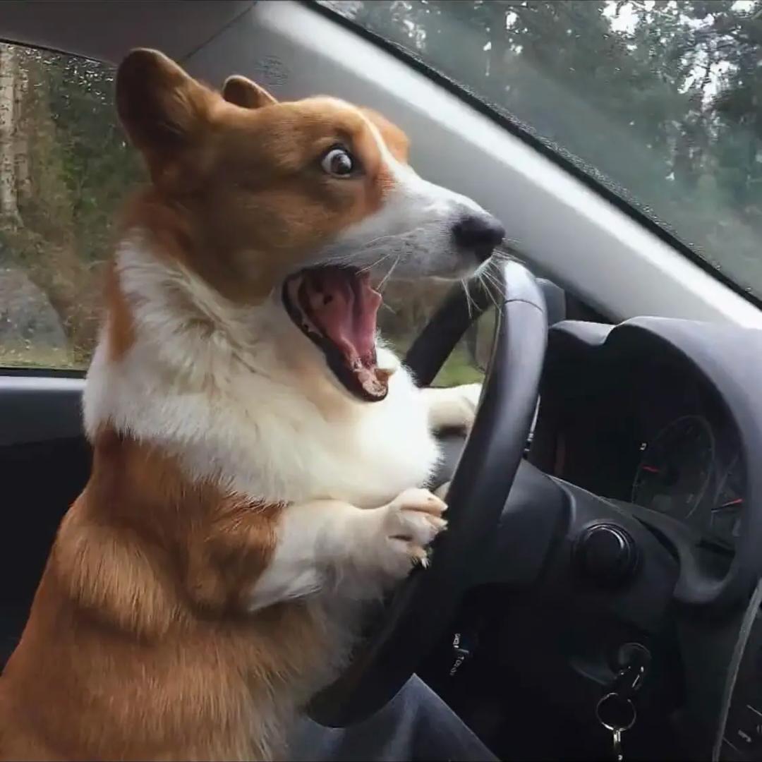 好好睡觉²³³³