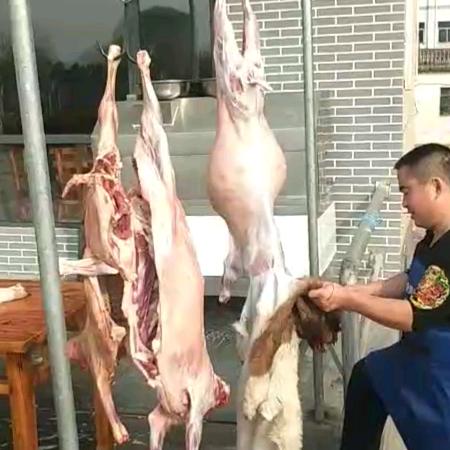 绍兴龙吟农场上门烤全羊！烧烤！专做团队