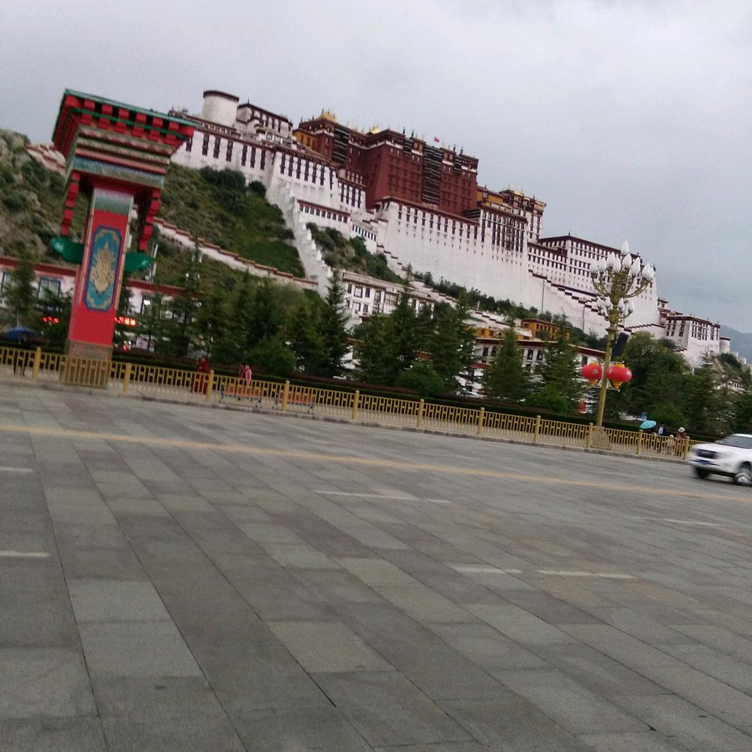 金秋琼枝  喜🐑🐑