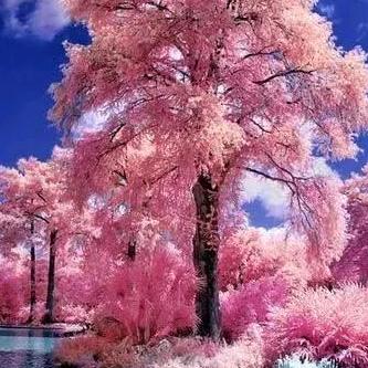 秋天的风春天的雨