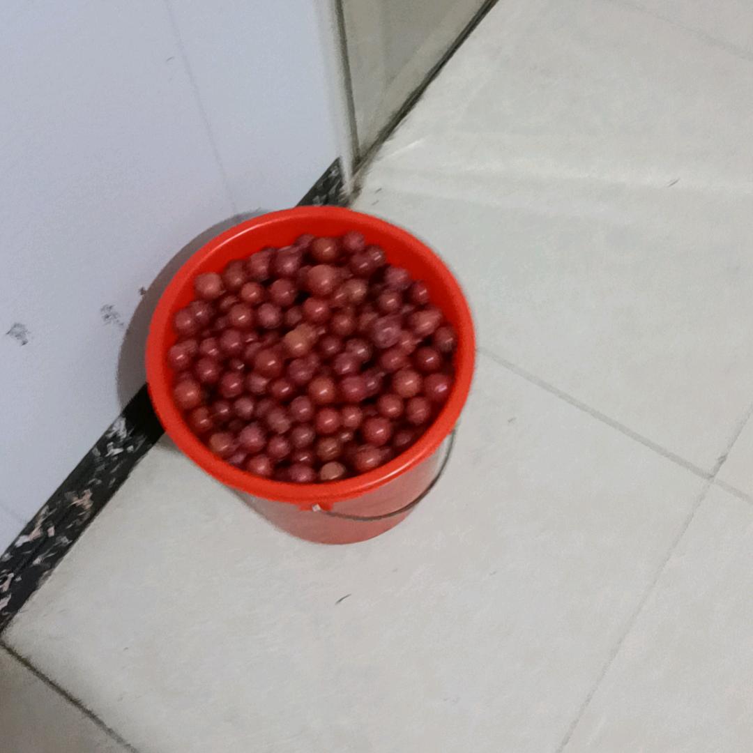 画虎画皮难画骨