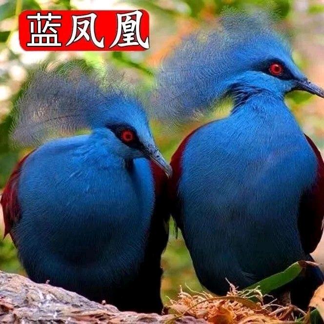 杯子有水有人喝
