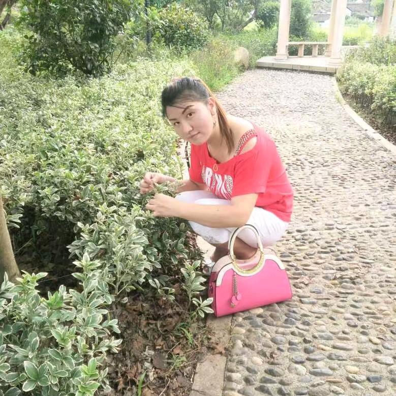 欣欣向荣_190930833