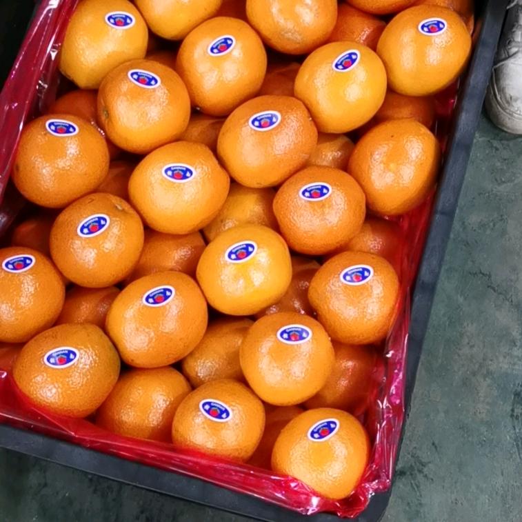 宜昌市橘橙柚农产品生鲜供应链有限公司